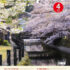 機関誌 Compass Vol.830（2023年4月号）