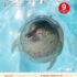 機関誌 Compass Vol.837（2025年9月号）